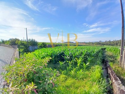  قطعة أرض في Laundos, Portugal 2160متر مربع رقم 52220