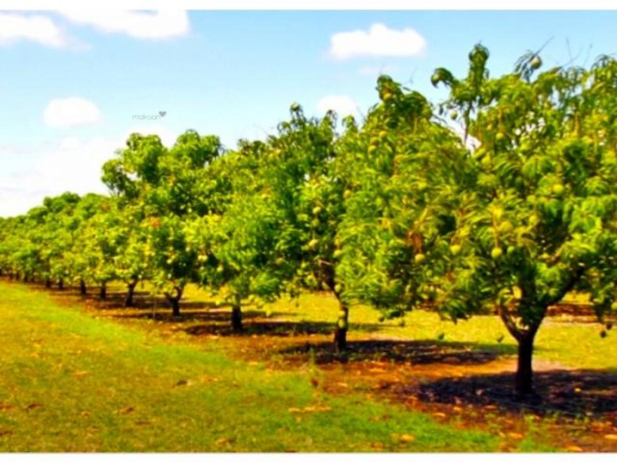  Land in Hyderabad, India No. 36059