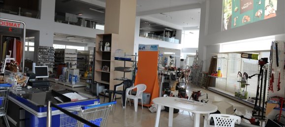 4665m² Property in Argolis, Greece No. 5317 6