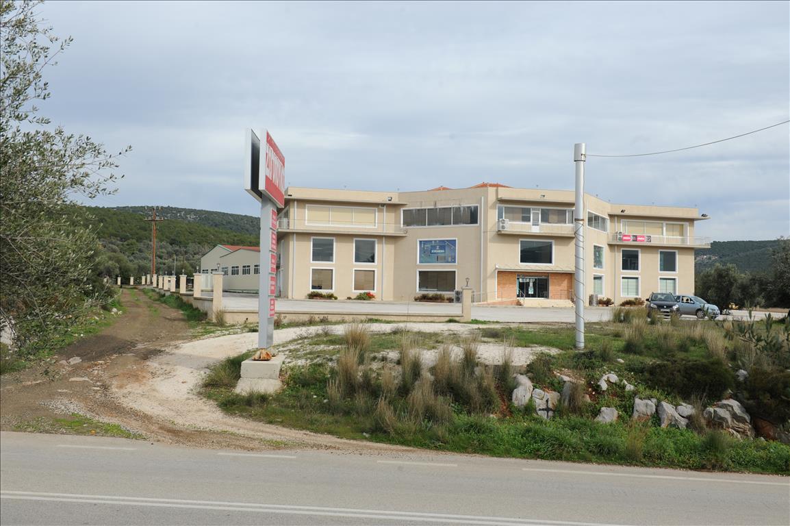 4665m² Property in Argolis, Greece No. 5317