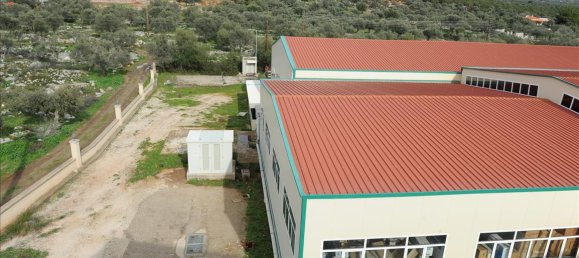  ميزونيت في Argolis, Greece 4665متر مربع رقم 5317 3