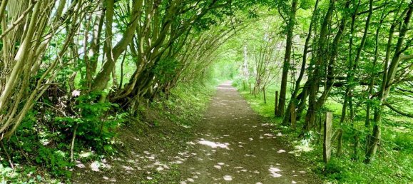 1 bedroom Apartment in Rendsburg-Eckernforde, Germany No. 21974 19