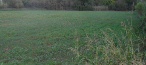 15140m² Land in Rosciano, Italy No. 355830 11