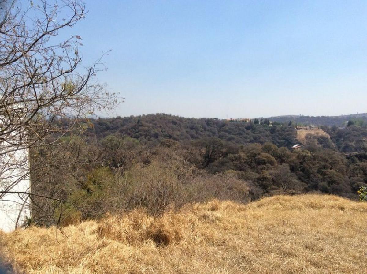 Grundstück in Ciudad Lopez Mateos, Mexico, Nr. 204647