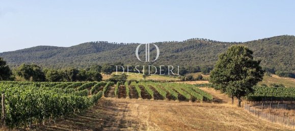 Casa de 17 habitaciónes en Magliano in Toscana, Italy No. 86561 36