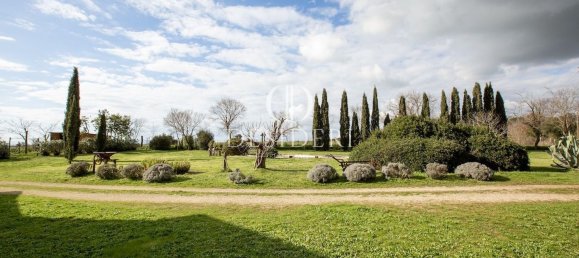 Casa de 17 habitaciónes en Magliano in Toscana, Italy No. 86561 5