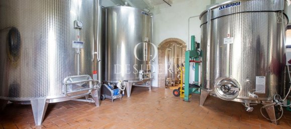 Casa de 17 habitaciónes en Magliano in Toscana, Italy No. 86561 15