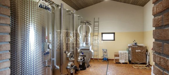 Casa de 17 habitaciónes en Magliano in Toscana, Italy No. 86561 18