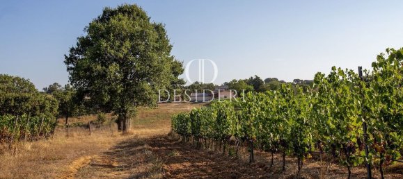 Casa de 17 habitaciónes en Magliano in Toscana, Italy No. 86561 38