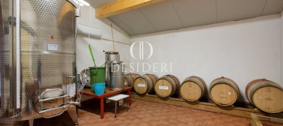 Casa de 17 habitaciónes en Magliano in Toscana, Italy No. 86561 20