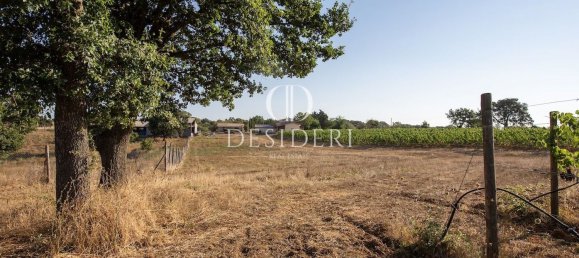 Casa de 17 habitaciónes en Magliano in Toscana, Italy No. 86561 39