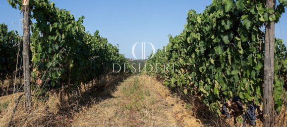 Casa de 17 habitaciónes en Magliano in Toscana, Italy No. 86561 37