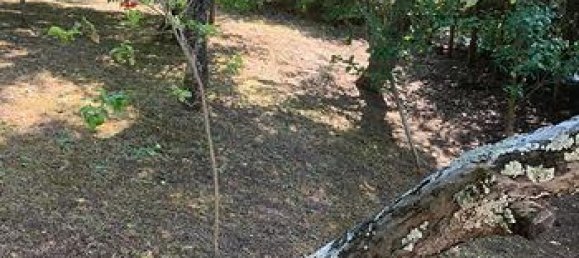 5-Zimmer Villa in Ferriere, Italy, Nr. 304697 2