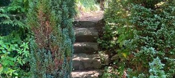 5-Zimmer Villa in Ferriere, Italy, Nr. 304697 3