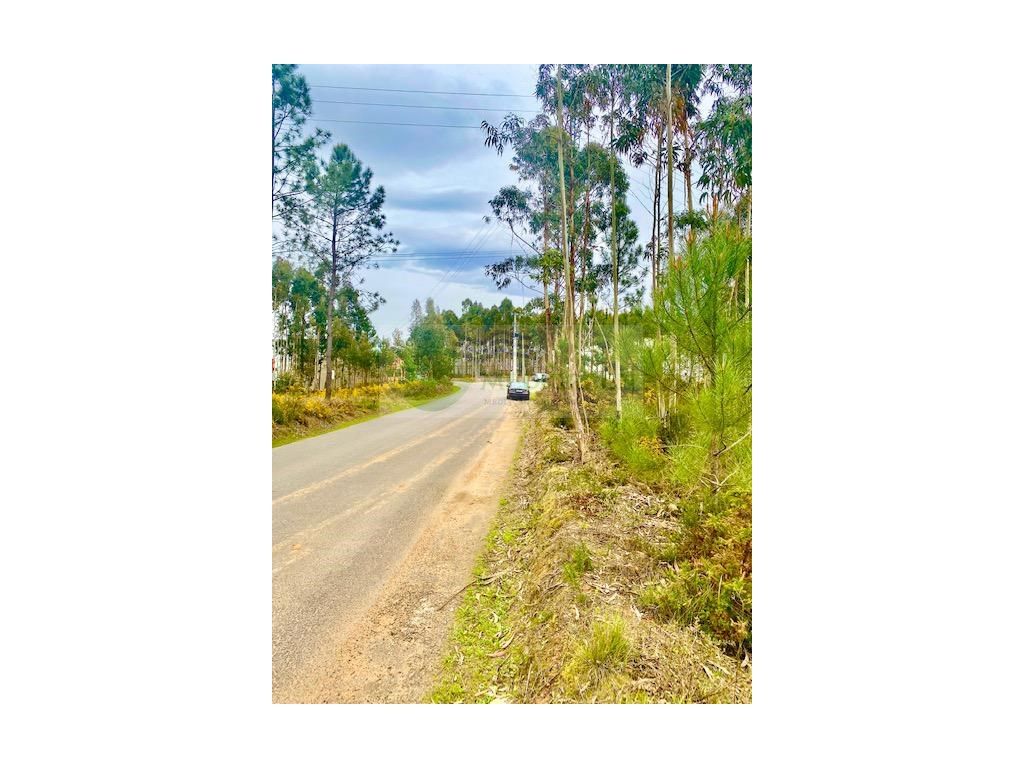 9720m² Land in Agueda, Portugal No. 256634