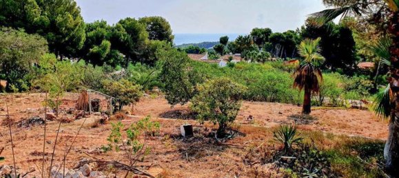  Land in Moraira, Spain No. 134502 7