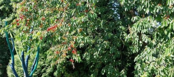 Casa de 7 divisões em Luneburg, Germany N.º 364805 44