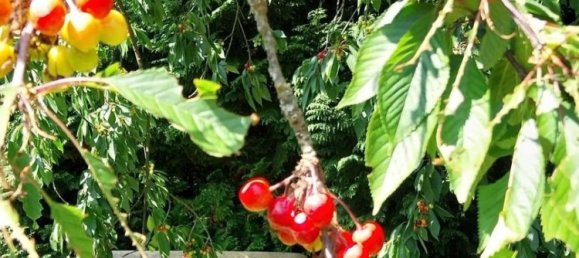 Casa de 7 divisões em Luneburg, Germany N.º 364805 45