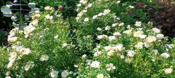 Casa de 7 divisões em Luneburg, Germany N.º 364805 43