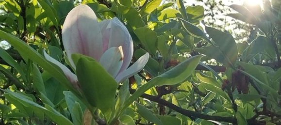 Casa de 7 divisões em Luneburg, Germany N.º 364805 41