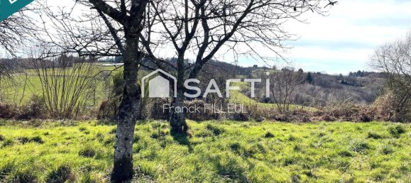 6 bedrooms House in Meuzac, France No. 100939 3