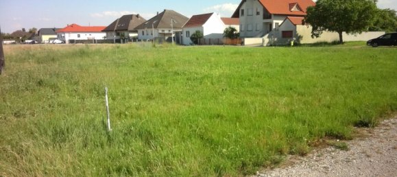 668m² Land in Purbach am Neusiedler See, Austria No. 131141 4