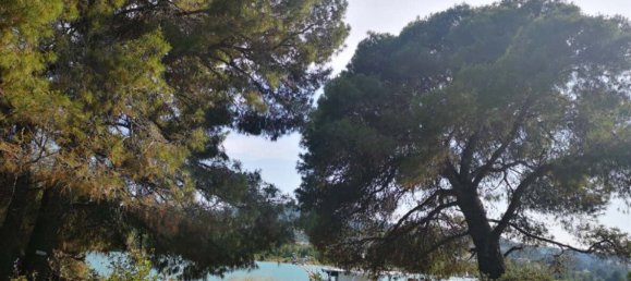 50000 m² hotel en venta en Chalkidiki, Central Macedonia, Macedonia and Thrace, Greece № 4184 3