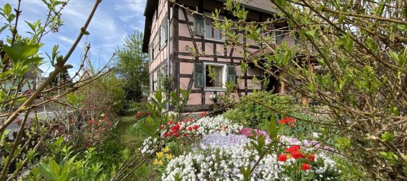 4 chambres Maison à Jettingen, France No. 86563 2