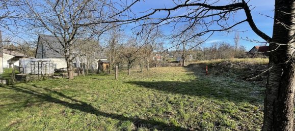 4 chambres Maison à Jettingen, France No. 86563 8