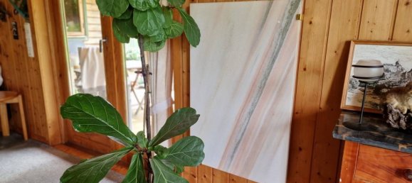 2 chambres Bungalow à Dithmarschen, Germany No. 66904 14