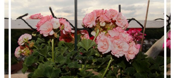 1 bedroom Apartment in Rhein-Neckar-Kreis, Germany No. 65495 3