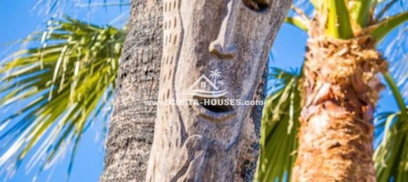 5 chambres Villa à Alicante, Spain No. 55017 18