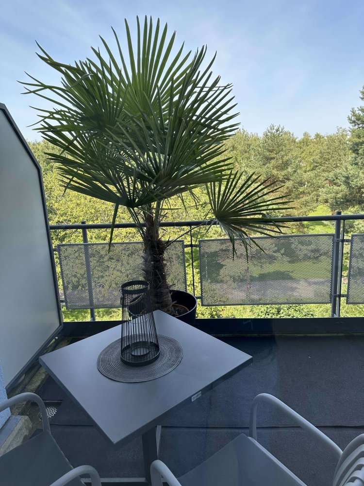 1 Schlafzimmer Wohnung in München, Germany, Nr. 331321