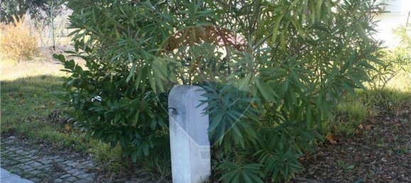 Дом с 4 спальнями в Марван, Португалия № 23964 6