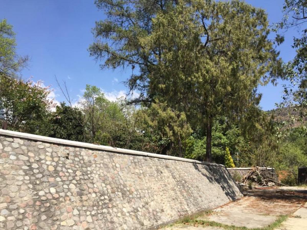 Grundstück in Tenancingo, Mexico, Nr. 202732