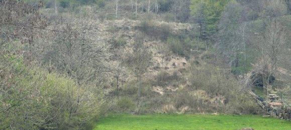 Apartamento de 3 habitaciónes en Neusiedl am See, Austria No. 260223 2