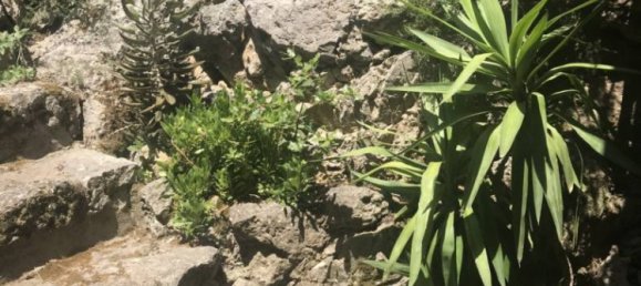 3 bedrooms Villa in Orbetello, Italy No. 150231 3