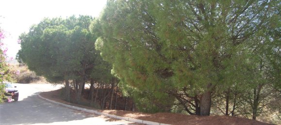  Land in Mijas, Spain No. 83499 3