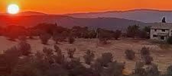 15 rooms House in Campagnatico, Italy No. 25990 3