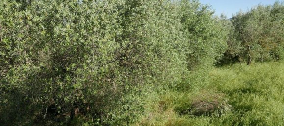 10 bedrooms House in Panicale, Italy No. 370792 10