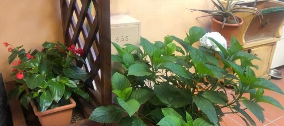 3 rooms Apartment in Carrara, Italy No. 27305 27