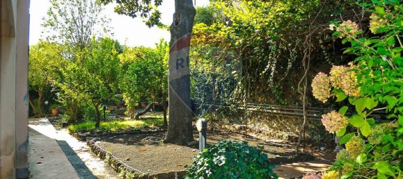 4500m² Building in Zafferana Etnea, Italy No. 55715 38