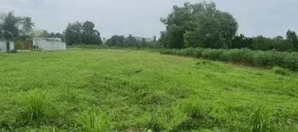 1560m² Commercial property in Bang Lamung, Thailand No. 22704 8