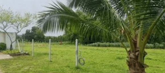 1560m² Commercial property in Bang Lamung, Thailand No. 22704 3