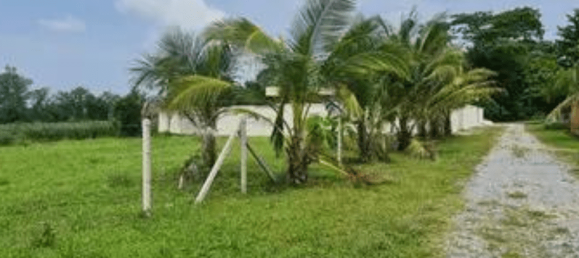 1560m² Commercial property in Bang Lamung, Thailand No. 22704 4