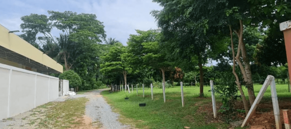 1560m² Commercial property in Bang Lamung, Thailand No. 22704 2