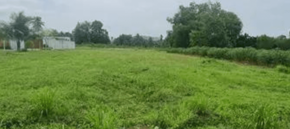 1560m² Commercial property in Bang Lamung, Thailand No. 22704 7