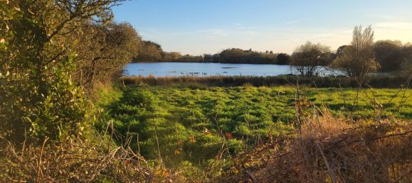 4 Schlafzimmer Haus in Erdeven, France, Nr. 206963 14