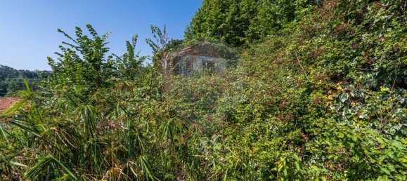 1 bedroom House in Celorico de Basto, Portugal No. 159970 23