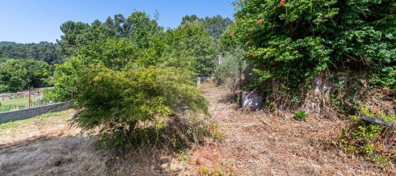 1 bedroom House in Celorico de Basto, Portugal No. 159970 12